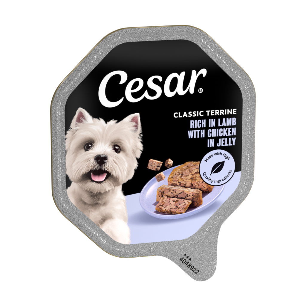 Cesar Classic Terrine Wet Dog Food tray Rich in Lamb with Chicken in Jelly 150g