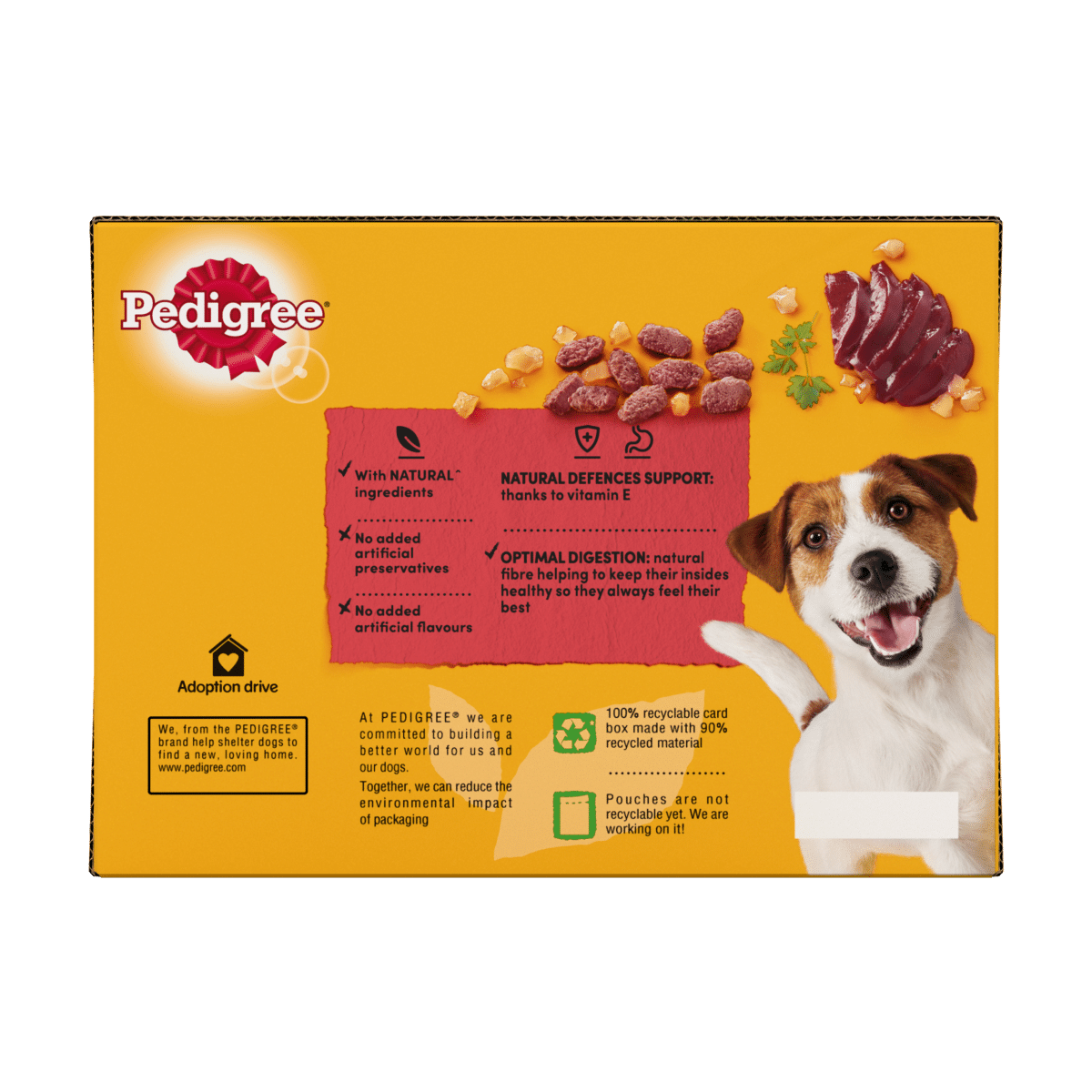 Pedigree Adult Wet Dog Food Pouches Mixed in Jelly 12 x 100g