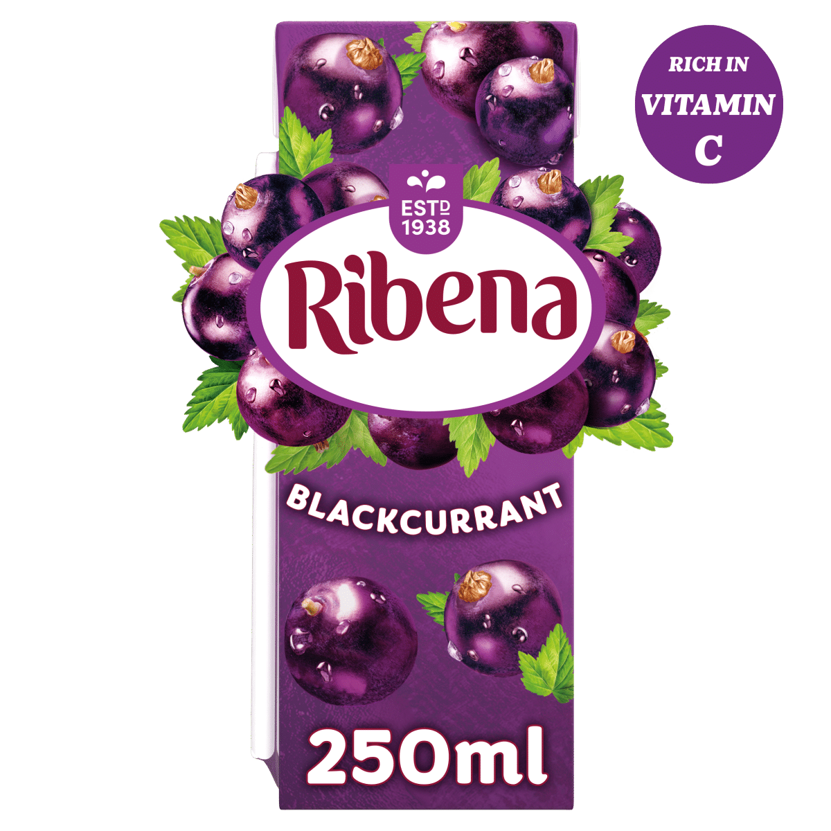Ribena Blackcurrant Juice Drink Carton 250ml