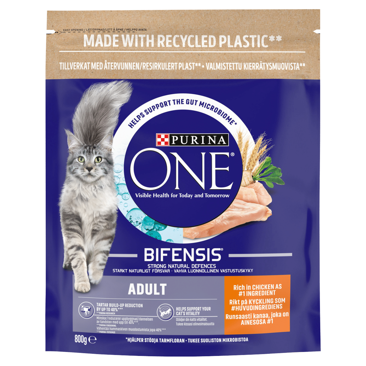 Purina ONE Bifensis Adult 800g
