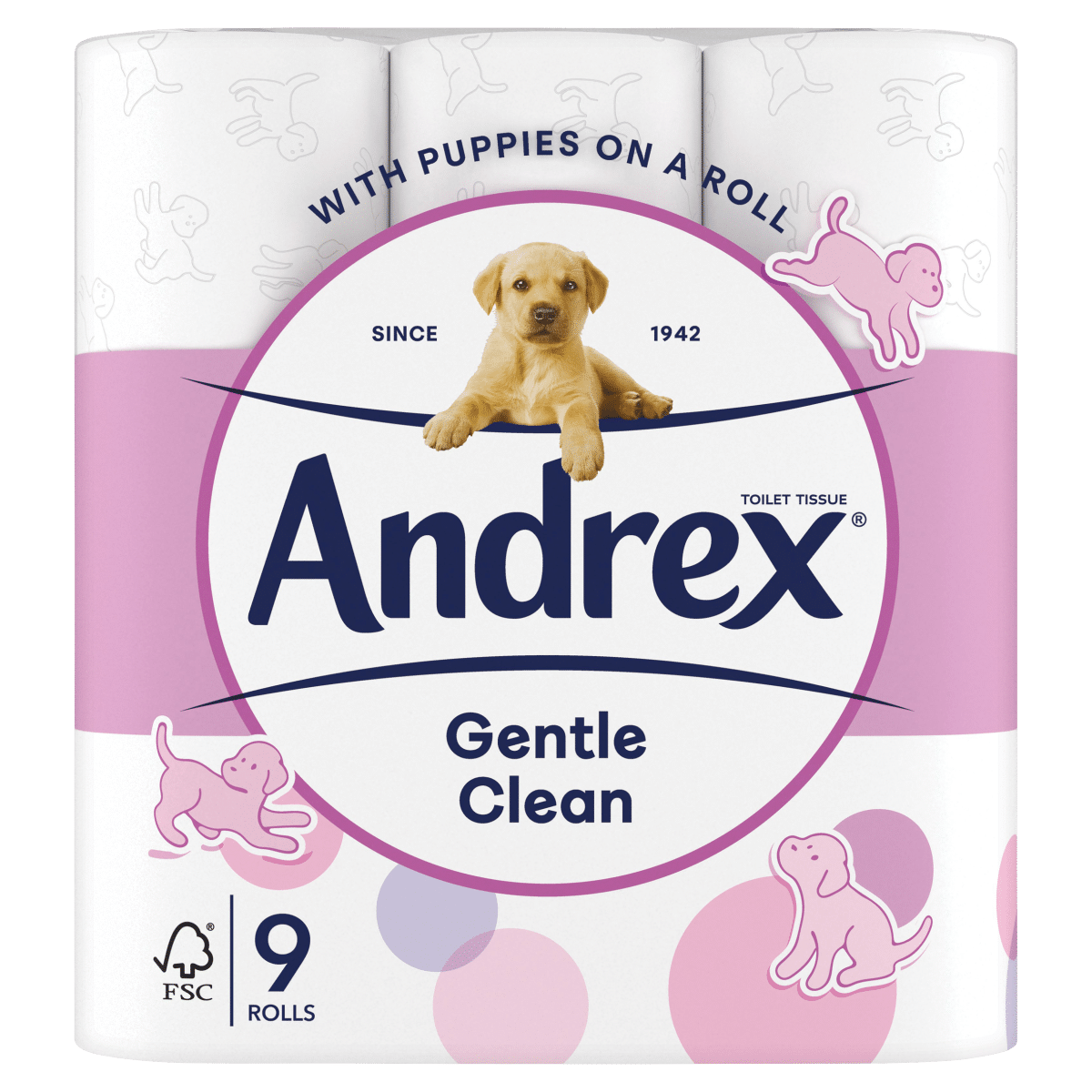 Andrex Gentle Clean Toilet Tissue 9 Rolls